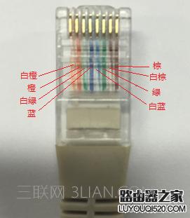 怎樣查看網線線序？手把手教你正確識別水晶頭線序的方法