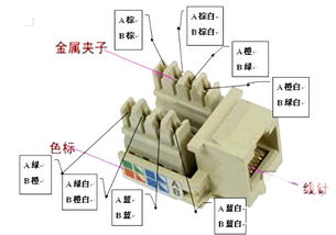 網線插口與水晶頭接法詳解 標準一致，但應用有別
